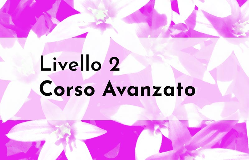 Livello 2